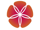 Логотип канала Dorama